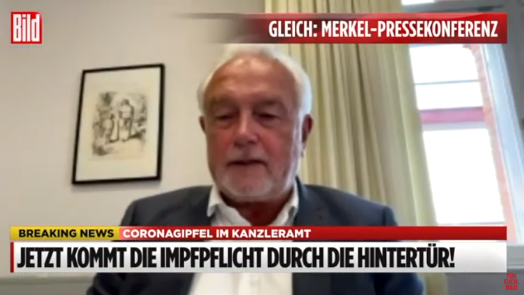 Wolfgang Kubicki Impfpflicht